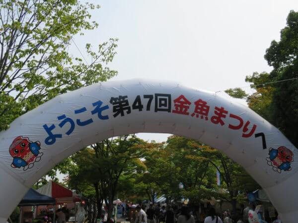 第48回 江戸川区金魚まつり 金魚のふるさと江戸川区 19年07月日 土 7月21日 日 アクシズ アクアリウムを静かにやりたいの