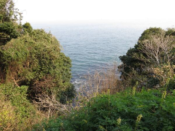 猿島