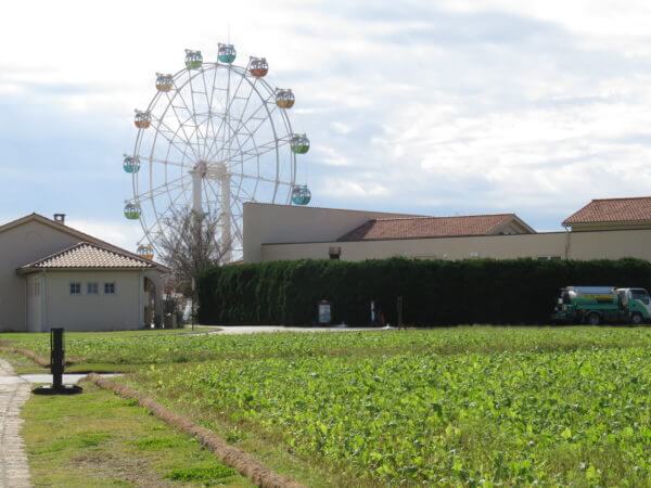ソレイユの丘