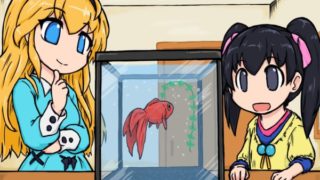 流川そらと萌愛と金魚