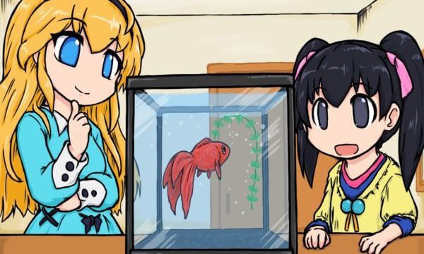 流川そらと萌愛と金魚