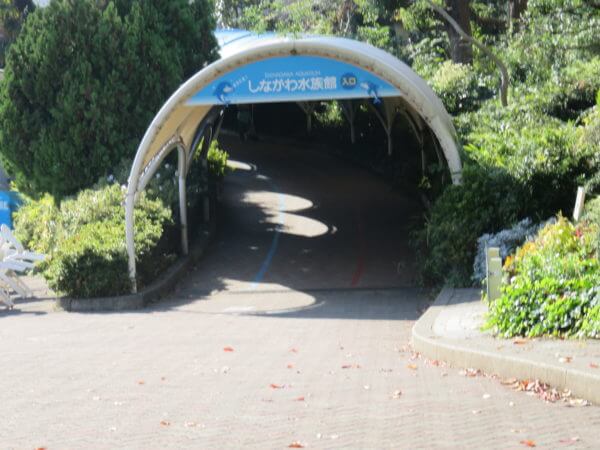 しながわ水族館