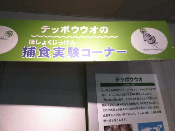 しながわ水族館