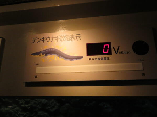 しながわ水族館