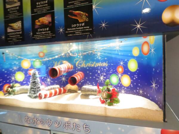 しながわ水族館