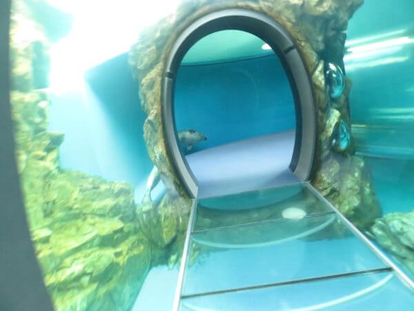 しながわ水族館
