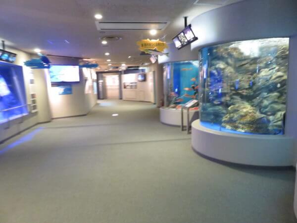 しながわ水族館