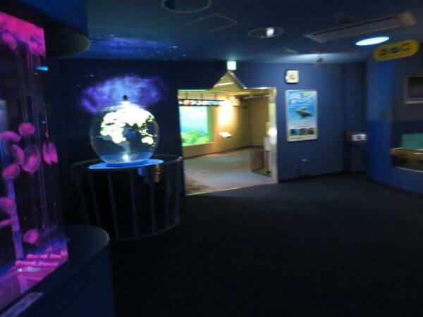 しながわ水族館
