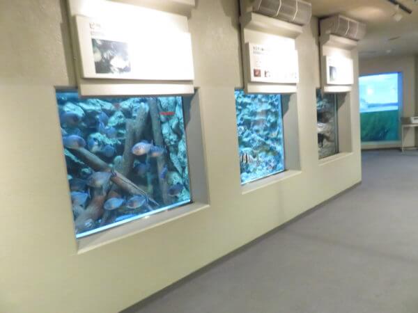 しながわ水族館