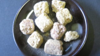 ひかりFD ビタミンブラインシュリンプ