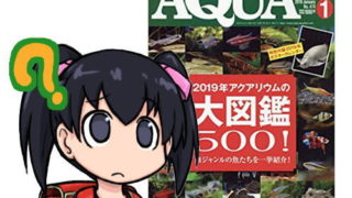 月刊アクアライフ