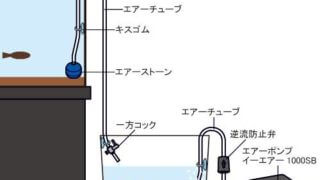 水合わせDXキット