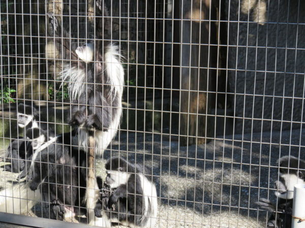 上野動物園