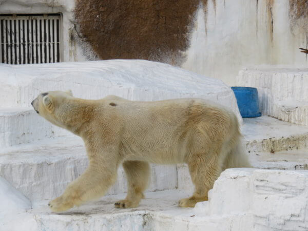 天王寺動物園