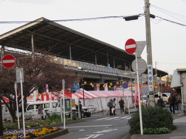 三浦海岸桜まつり