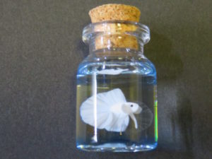 DAJUN CRAFT