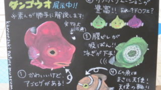 観音崎自然博物館