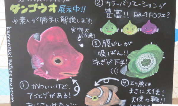 観音崎自然博物館