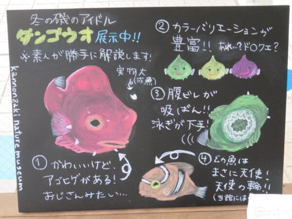 観音崎自然博物館