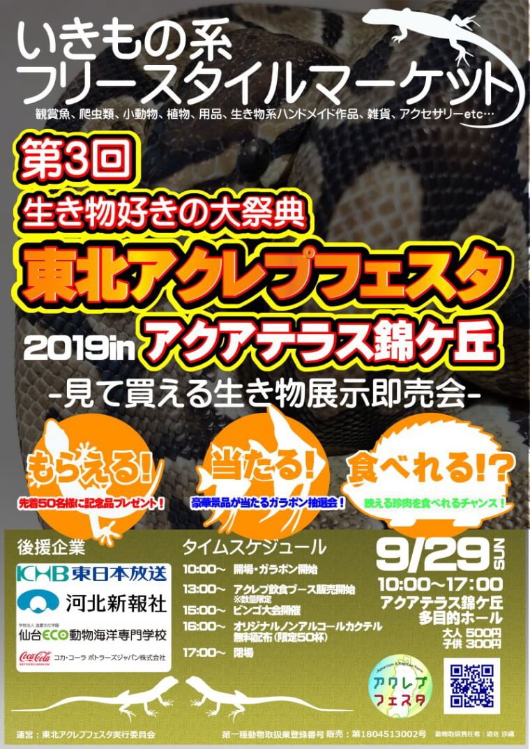 東北アクレプフェスタ