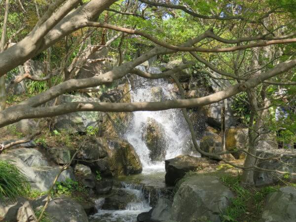 葉山しおさい公園