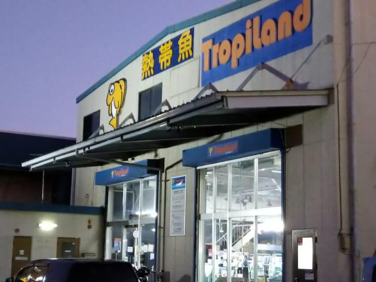 トロピランド相模原店 3階建ての神奈川県でも最大級に大きいアクアショップ アクシズ東京 アクアリウムを静かにやりたいの