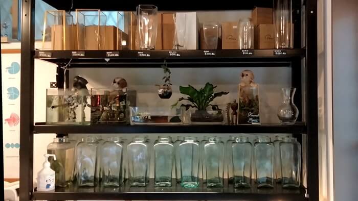 闘魚専門店AQUDIO(アクディオ)