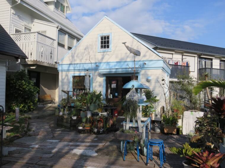 葉山女子旅きっぷ Flower Labo