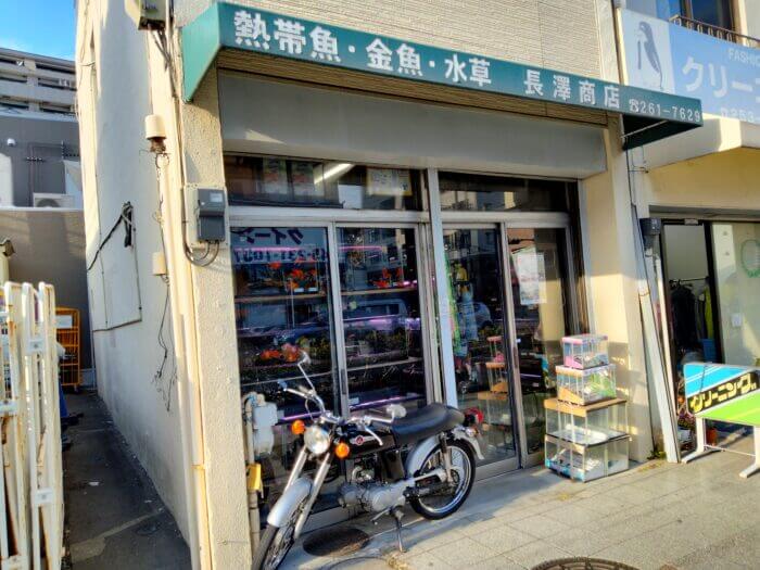 長澤商店