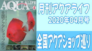 月刊アクアライフ2020年04月号「全国アクアショップ巡り〜すてきな魚に会いにいこう！〜」