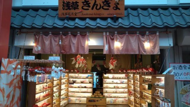 大型店舗にも負けてない 東京都内の小型熱帯魚店を目的別にご紹介 アクシズ アクアリウムを静かにやりたいの