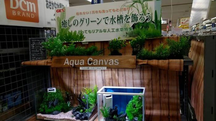 よこはま金魚久里浜店