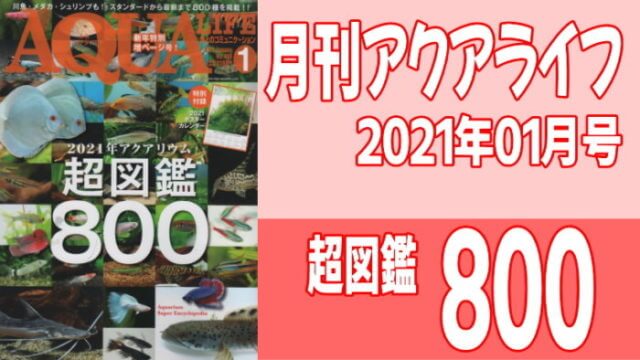月刊アクアライフ2021年01月号「超図鑑800」