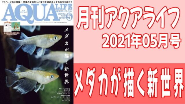 月刊アクアライフ2021年05月号 『メダカが描く新世界』