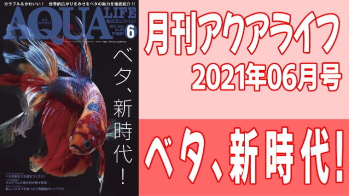 月刊アクアライフ2021年06月号 『ベタ、新時代！』