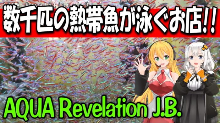 AQUA Revelation J.B. Youtube