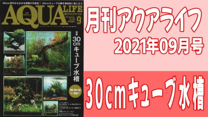 月刊アクアライフ2021年09月号 『30cmキューブ水槽』