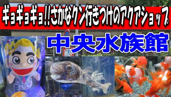 中央水族館 Youtube