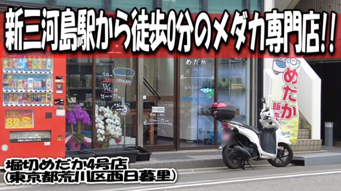 堀切めだか4号店 YouTube