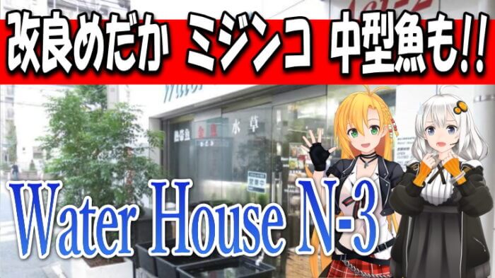 Water House N-3 Youtube