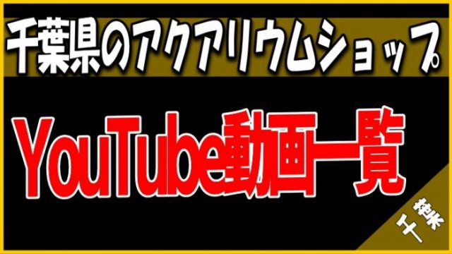 YouTube動画 千葉県のアクアリウムショップ
