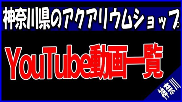 YouTube動画 神奈川県のアクアリウムショップ