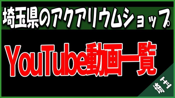 YouTube動画 埼玉県のアクアリウムショップ