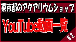 YouTube動画 東京都のアクアリウムショップ
