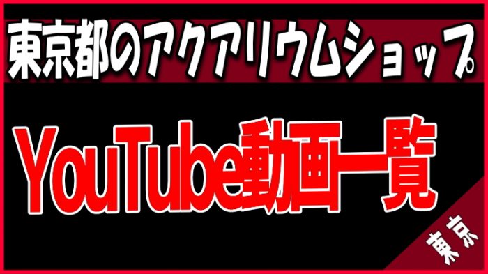 YouTube動画 東京都のアクアリウムショップ