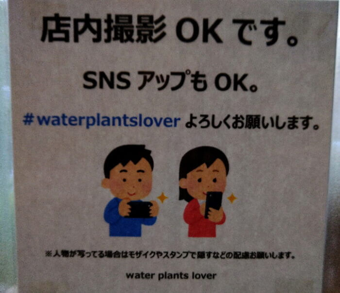 waterplantslover