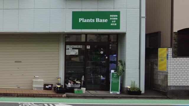 Plants Base (プランツベース) 相模大野